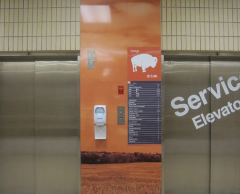HSC Orange Bison