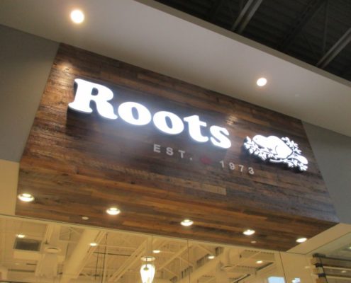 Roots